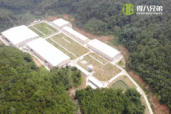 ãLiquid feeding systemãGuangdong Zhaoqing 20000 fattening 10000 weaning pig farm.