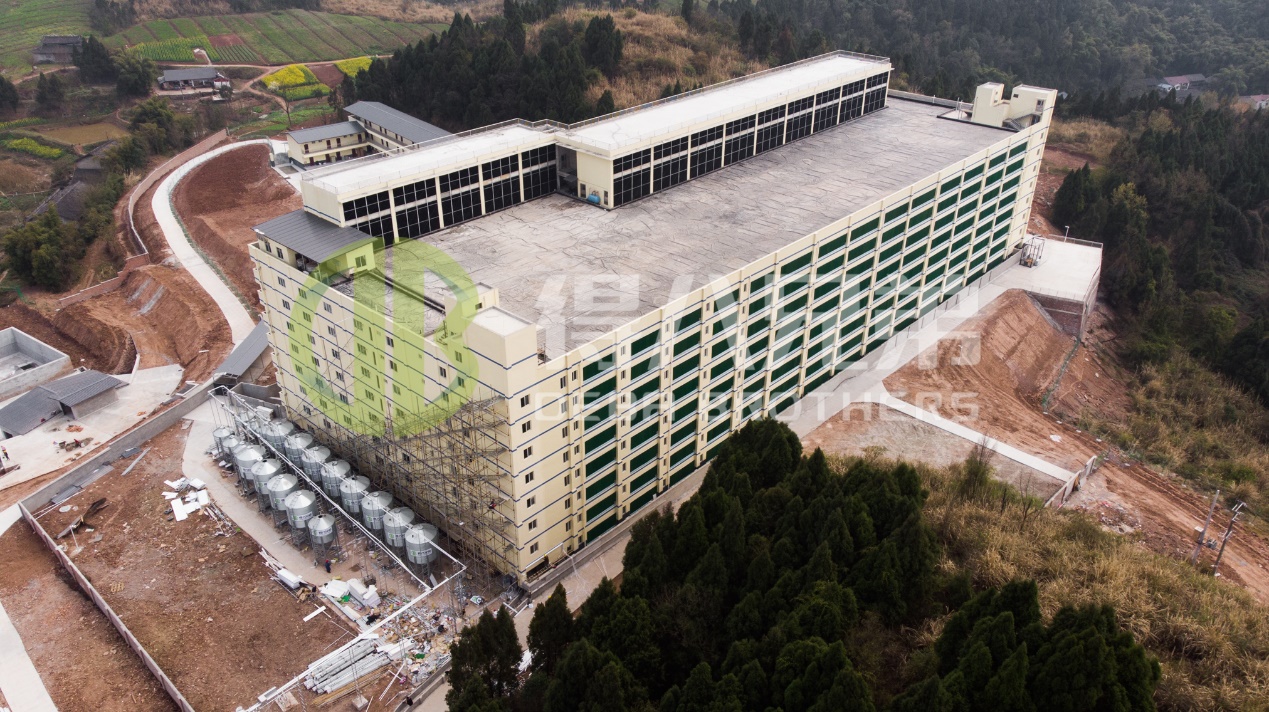 جدید سور فارم ڈیزائن میں ماحولیاتی معیار کو بہتر بنانے کا طریقہ